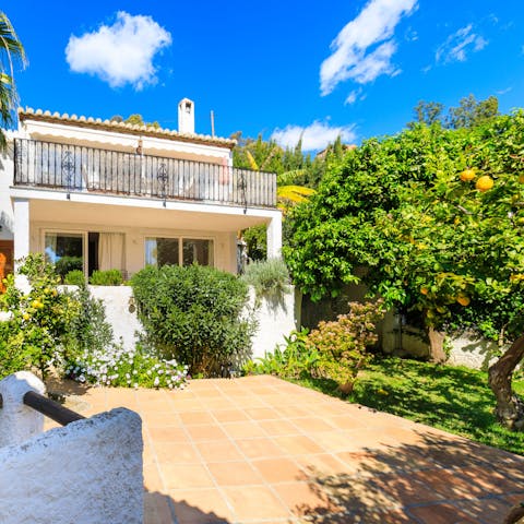 Admire the citrus trees in the Mediterranean-style garden
