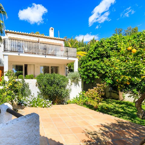 Admire the citrus trees in the Mediterranean-style garden