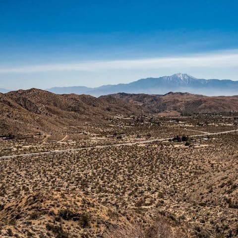 Enjoy the tranquility of desert life