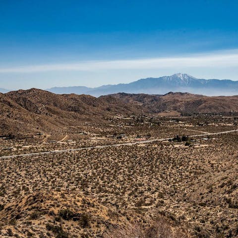 Enjoy the tranquility of desert life