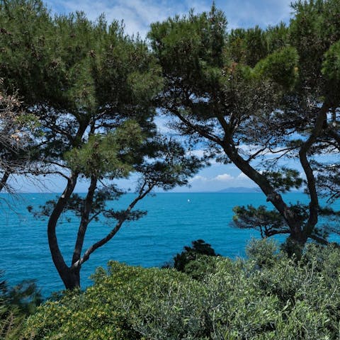 Explore the rocky peninsula of Monte Argentario