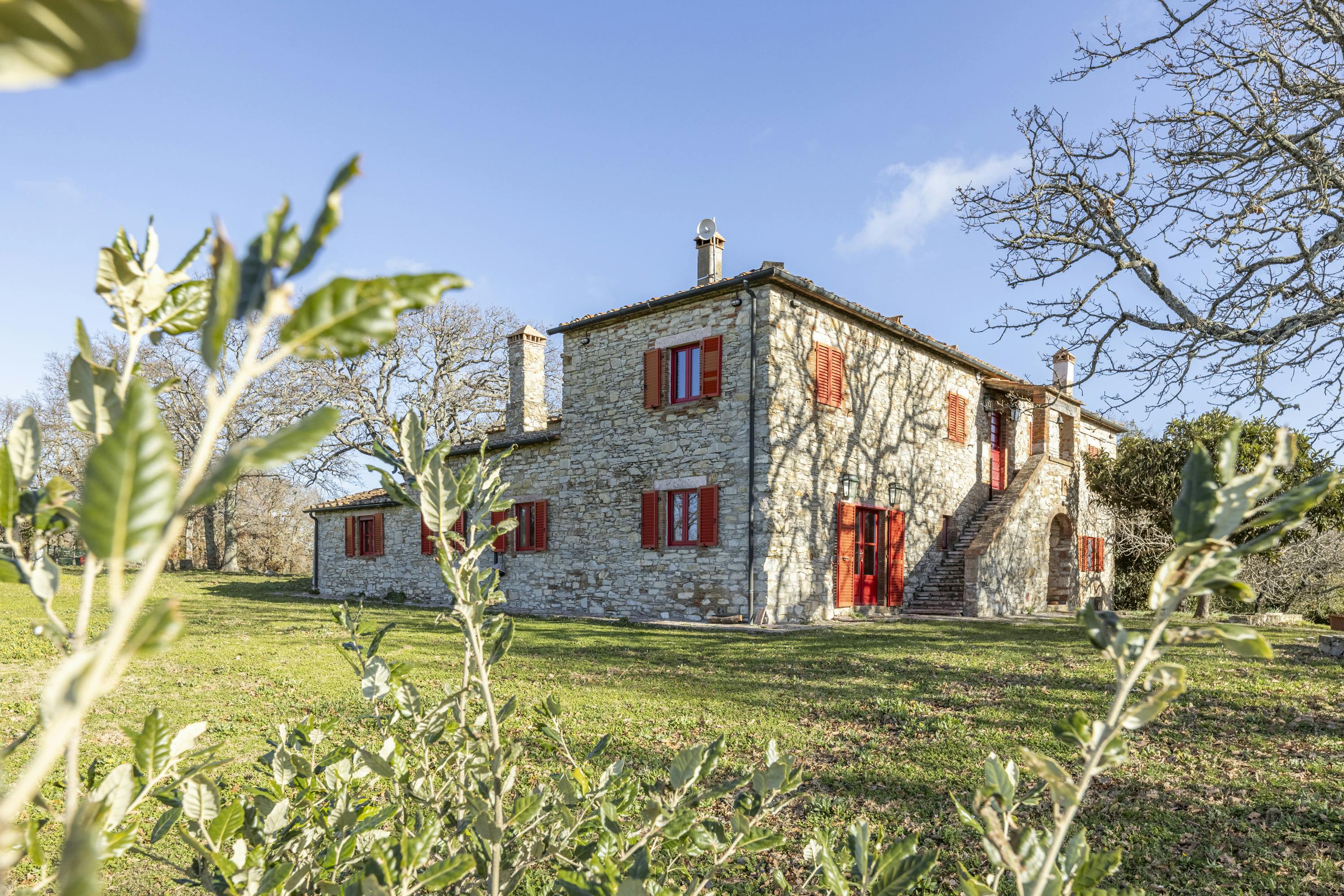 The Forest & The Sea