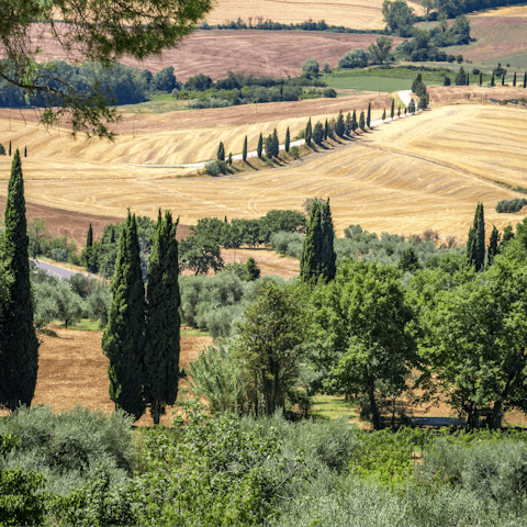 Explore the beautiful Lazio countryside on this home's doorstep