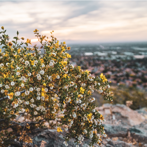 Hike the trails around Phoenix