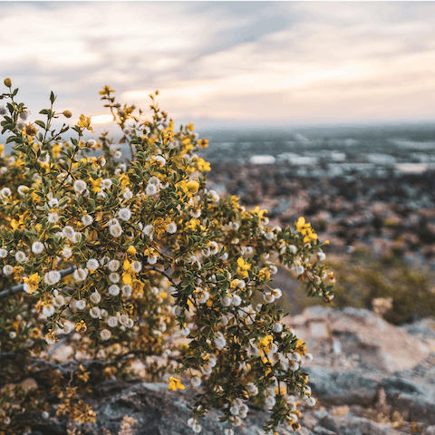 Hike the trails around Phoenix
