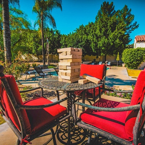 Laze in the shade of palm trees