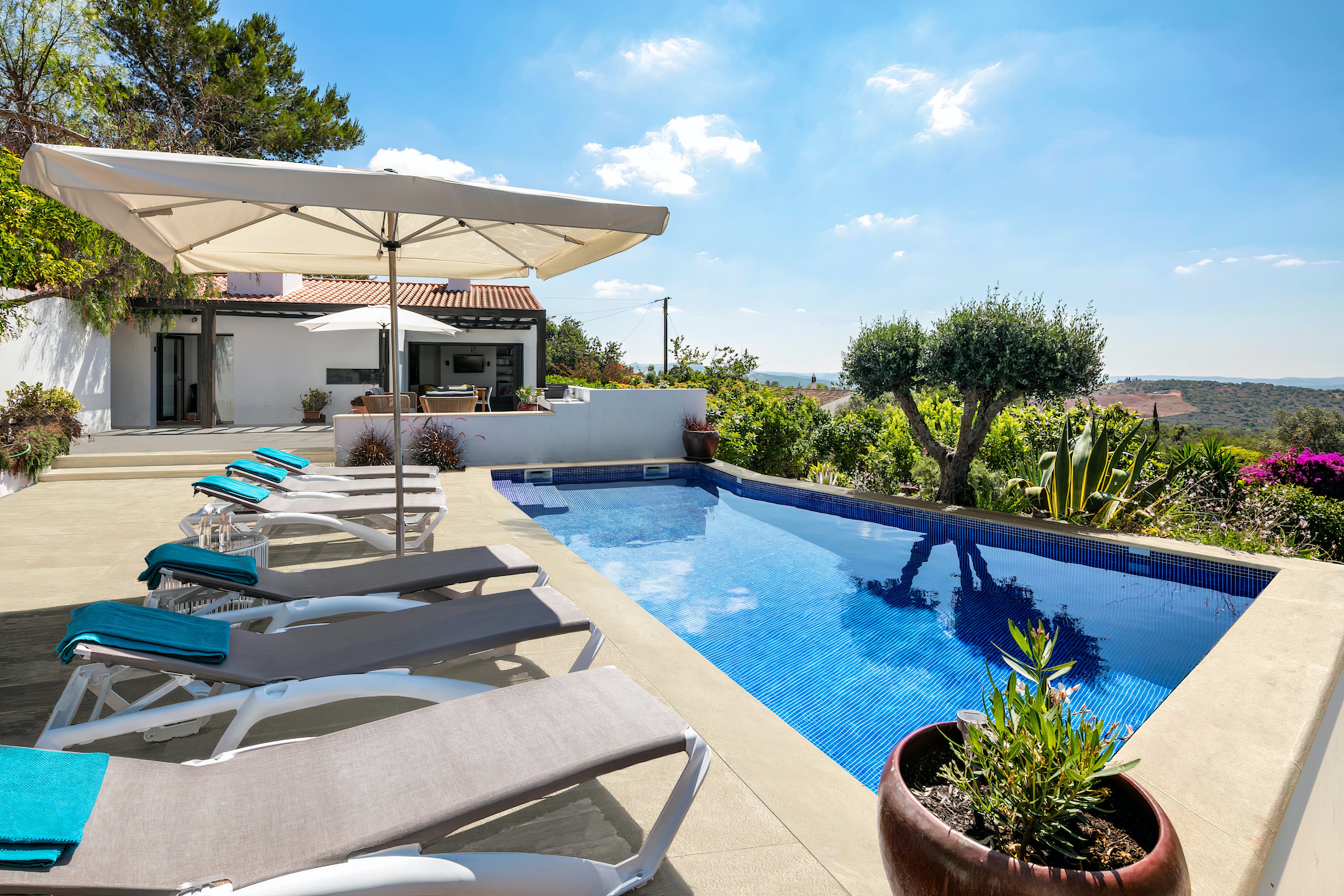 Beautiful Bougainvillea Breeze