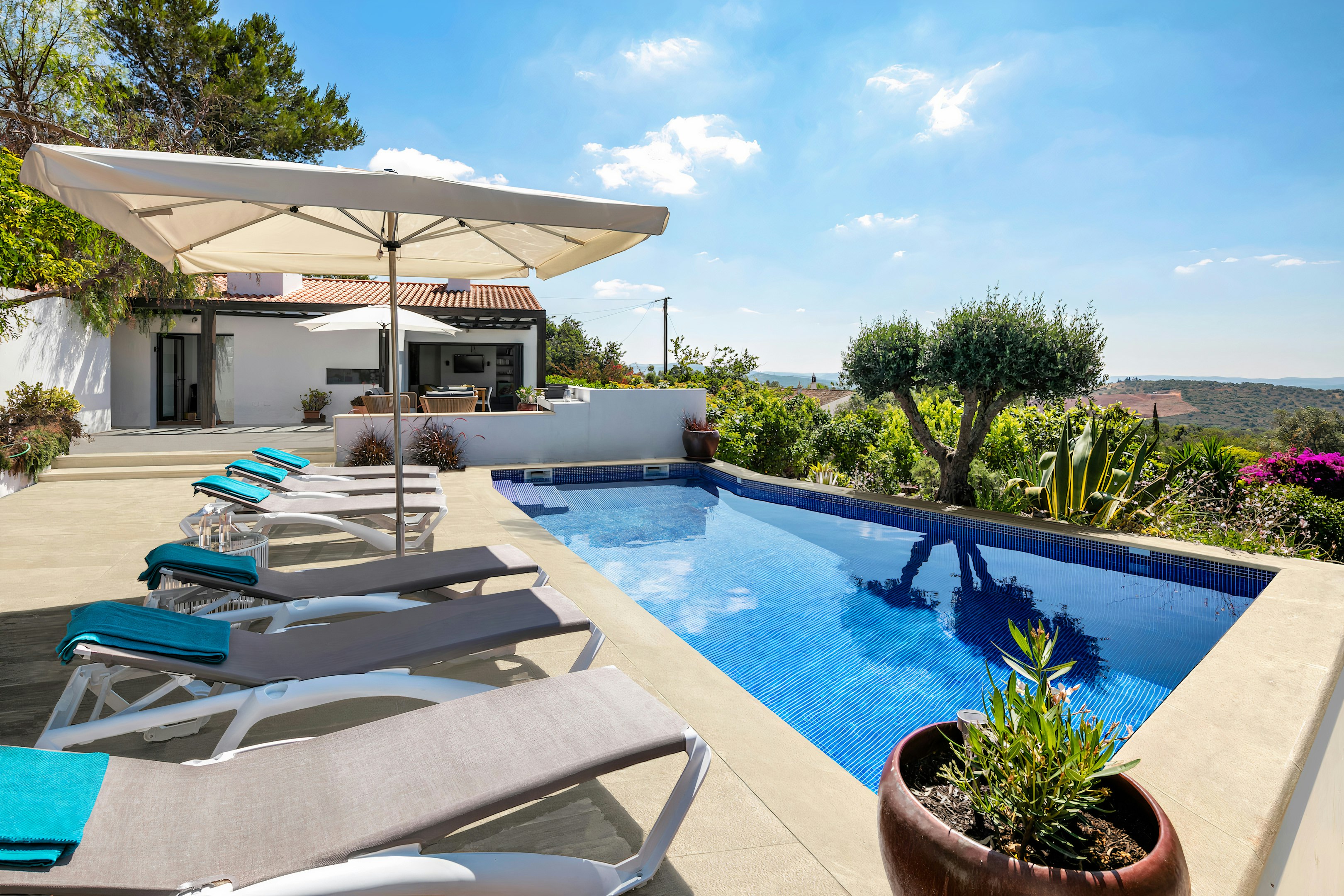 Beautiful Bougainvillea Breeze