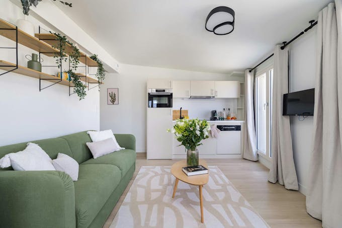 Parisian Architecture Vistas