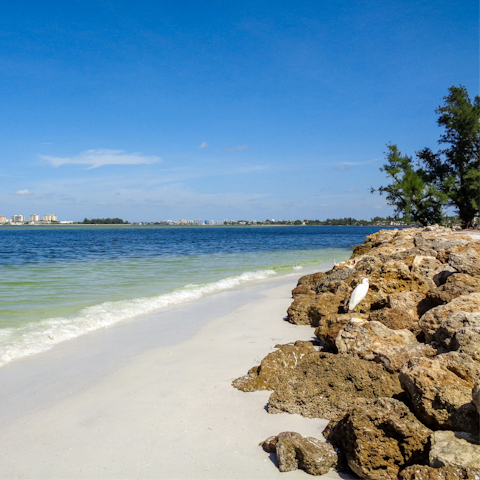 Spend days relaxing on nearby Siesta Key Beach