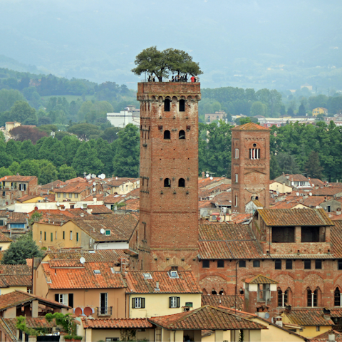 Step outside and explore the Renaissance town of Lucca,