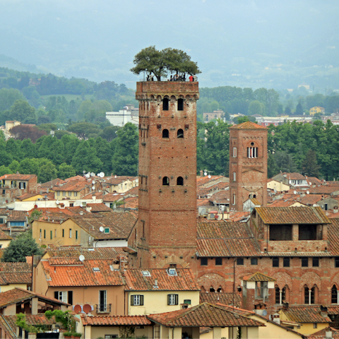 Step outside and explore the Renaissance town of Lucca,