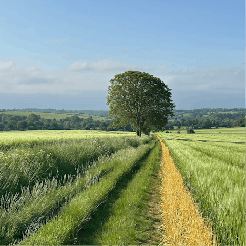 Wind your way through the beautiful countryside of Burford