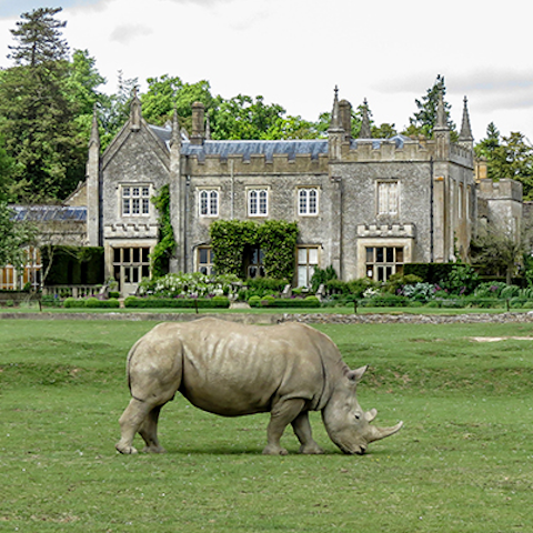 Visit Cotswold Wildlife Park and Gardens, just over eight miles away