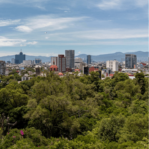 Discover the peaceful parks of Mexico City’s Condesa neighbourhood, just a short walk away