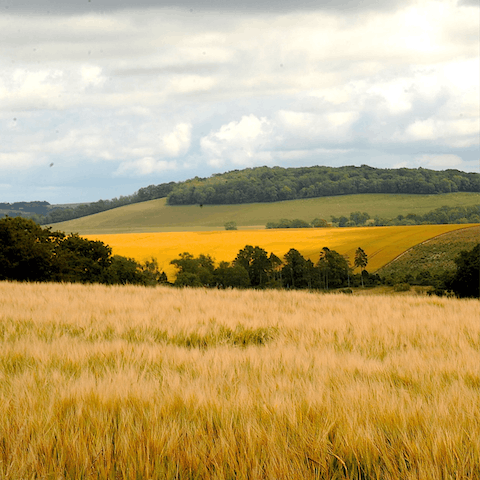 Discover incredible walking and cycling opportunities in the South Downs