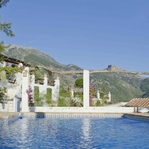 Go for a dip in the pool