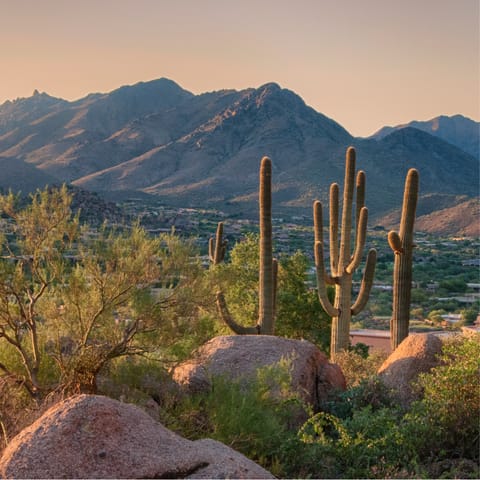 Explore Scottsdale's beautiful desert landscape