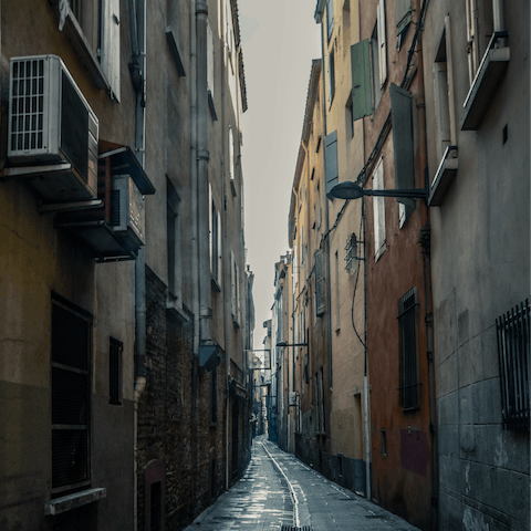 Take a day trip to the bustling cultural hub of Perpignan, half an hour away