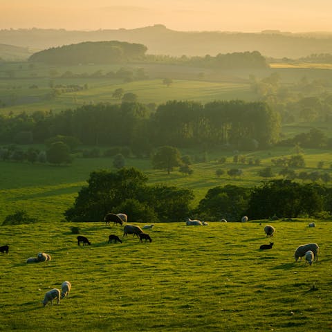 Set off on walks in the Herefordshire and Monmouthshire countryside
