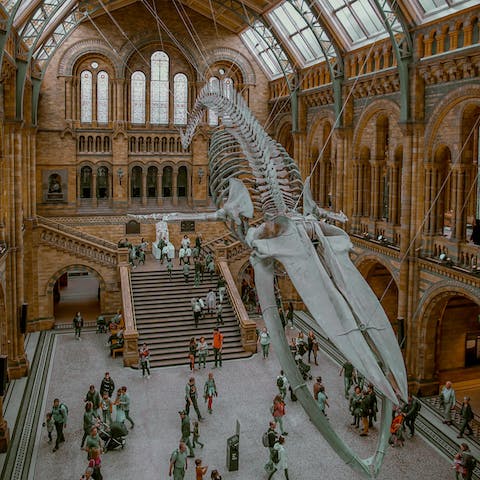 Spend an afternoon exploring the Natural History Museum, a ten-minute walk away