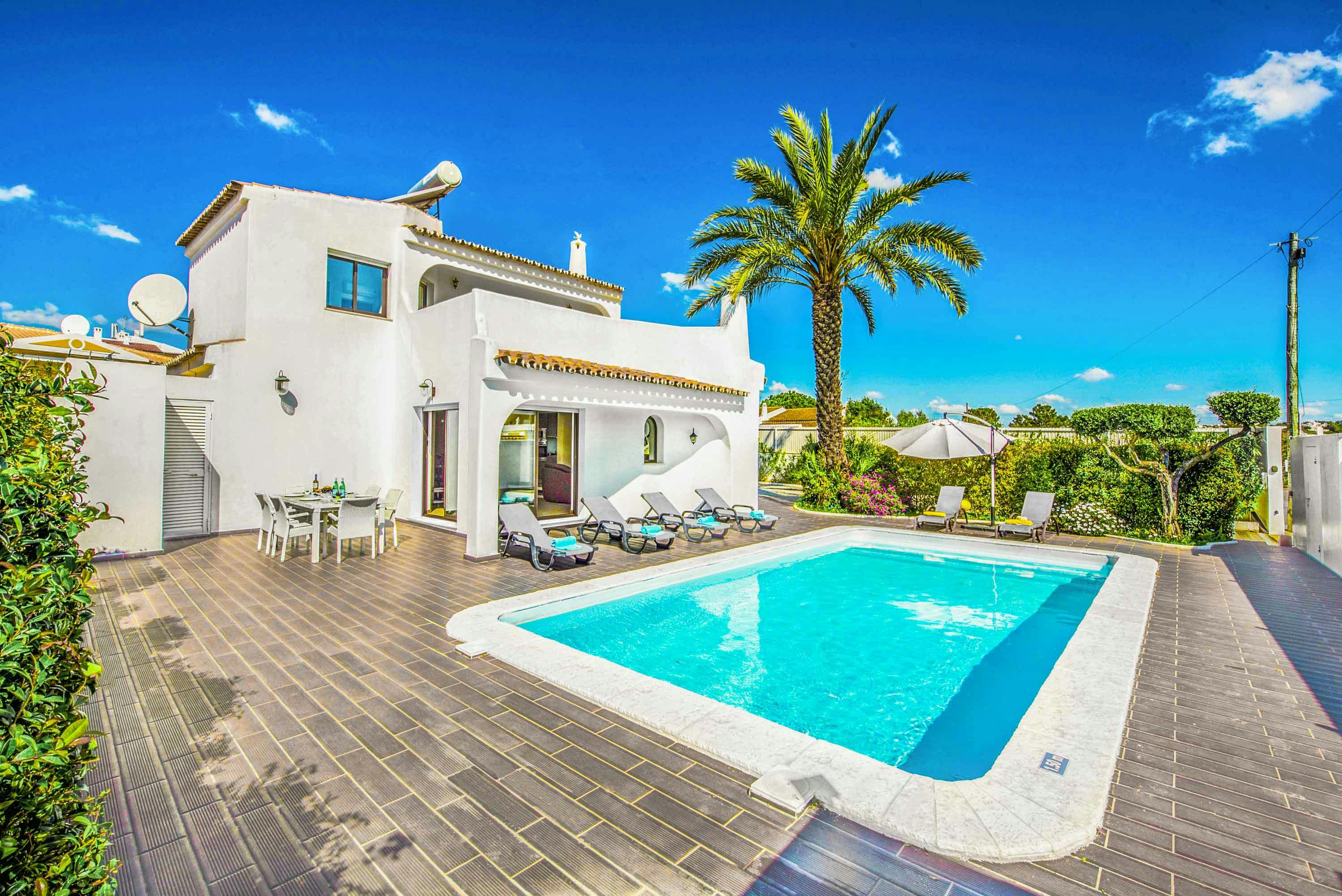 Palm Trees & Turquoise Seas