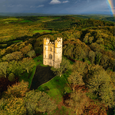 Explore Haldon Forest – a short drive away