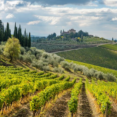 Stay among vineyard-topped valleys in Radda in Chianti