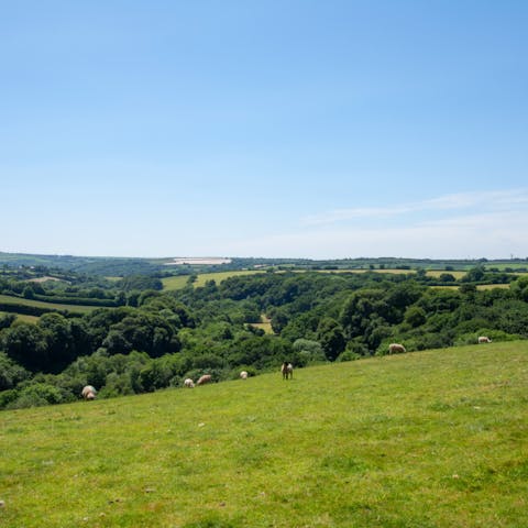 Explore the rolling hills right outside your door – St Breward and St Tudy are both an eight-minute drive away