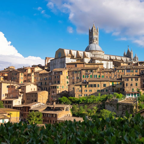 Drive an hour to Siena for a day trip
