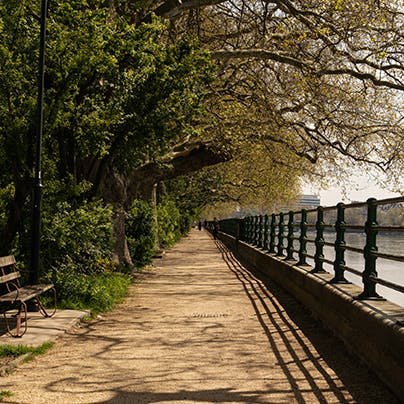 Enjoy a refreshing stroll along the banks of the River Thames