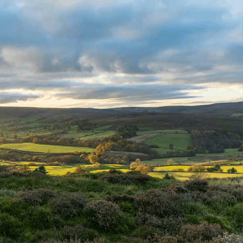 Explore the wild beauty of the North York Moors, just ten minutes away