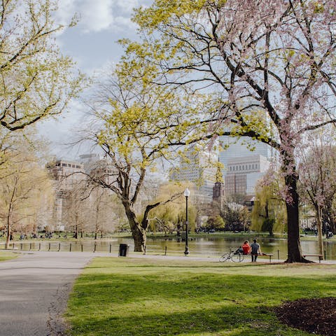 Stroll around Central Park, making a pitstop at The Lake
