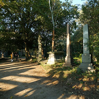 Enjoy a refreshing stroll through nearby Abney Park