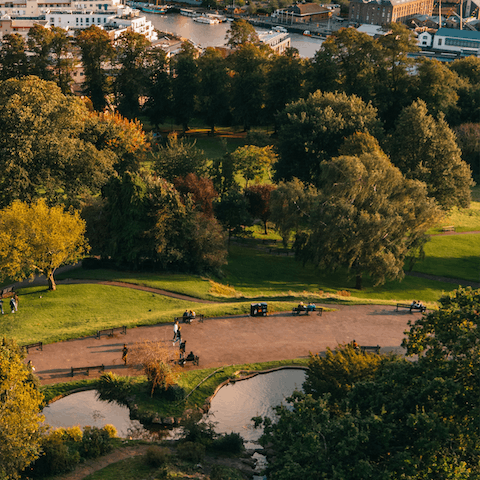 Explore the vibrant streets and lush green spaces of the city