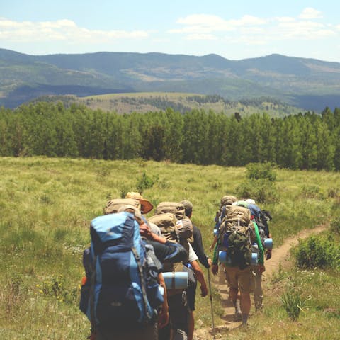 Hike in the nearby forest and meadow