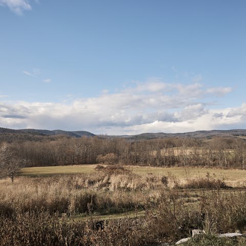 Relax in the peace and quiet of this remote home