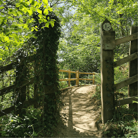 Go for hikes among the beautiful Staffordshire countryside