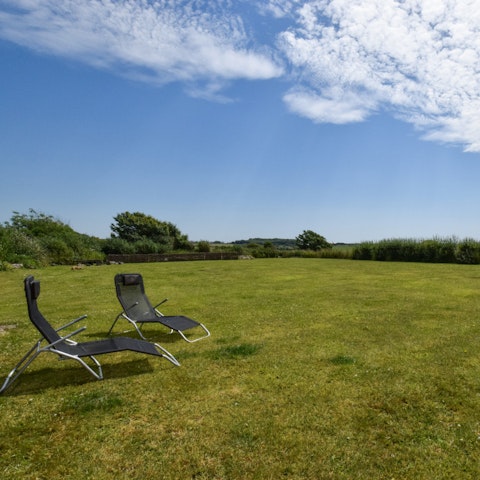 Enjoy free range of the lawn