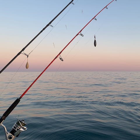 Bring along your rods for some fishing