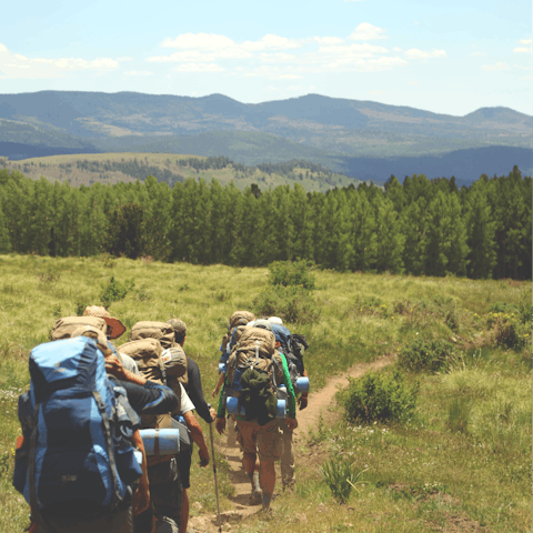 Follow one of the breathtaking hiking trails through the Black Mountains