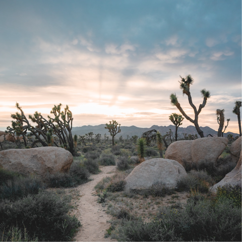 Venture deep into Joshua Tree National Park – just an eight-minute drive away