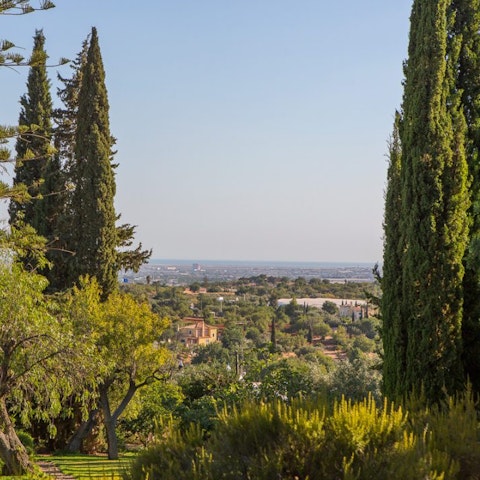 Drink in fabulous views of Faro's skyline and the Atlantic Ocean