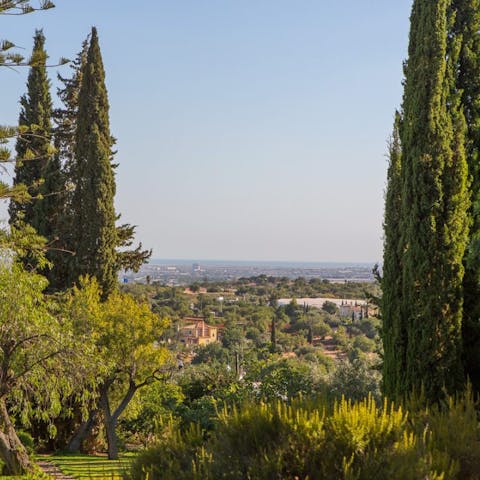 Drink in fabulous views of Faro's skyline and the Atlantic Ocean