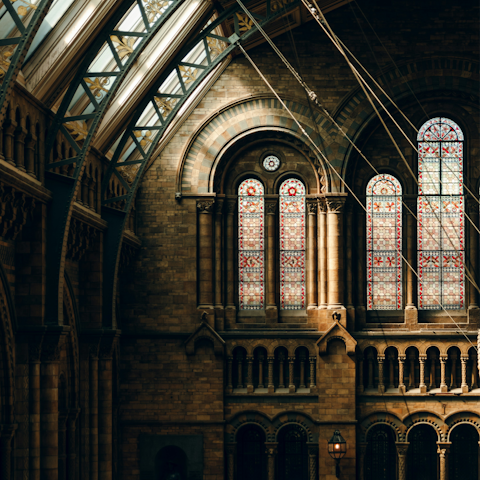 Journey back in time at the Natural History Museum