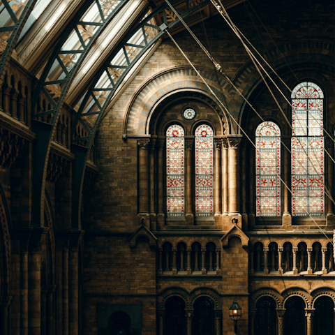 Journey back in time at the Natural History Museum