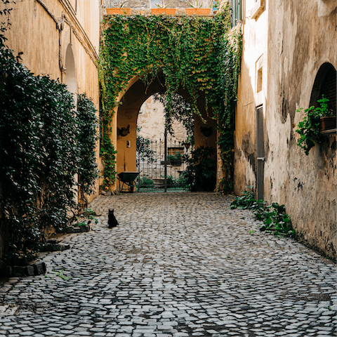 Meander the cobbled streets of medieval Bale – the centre is a six-minute walk