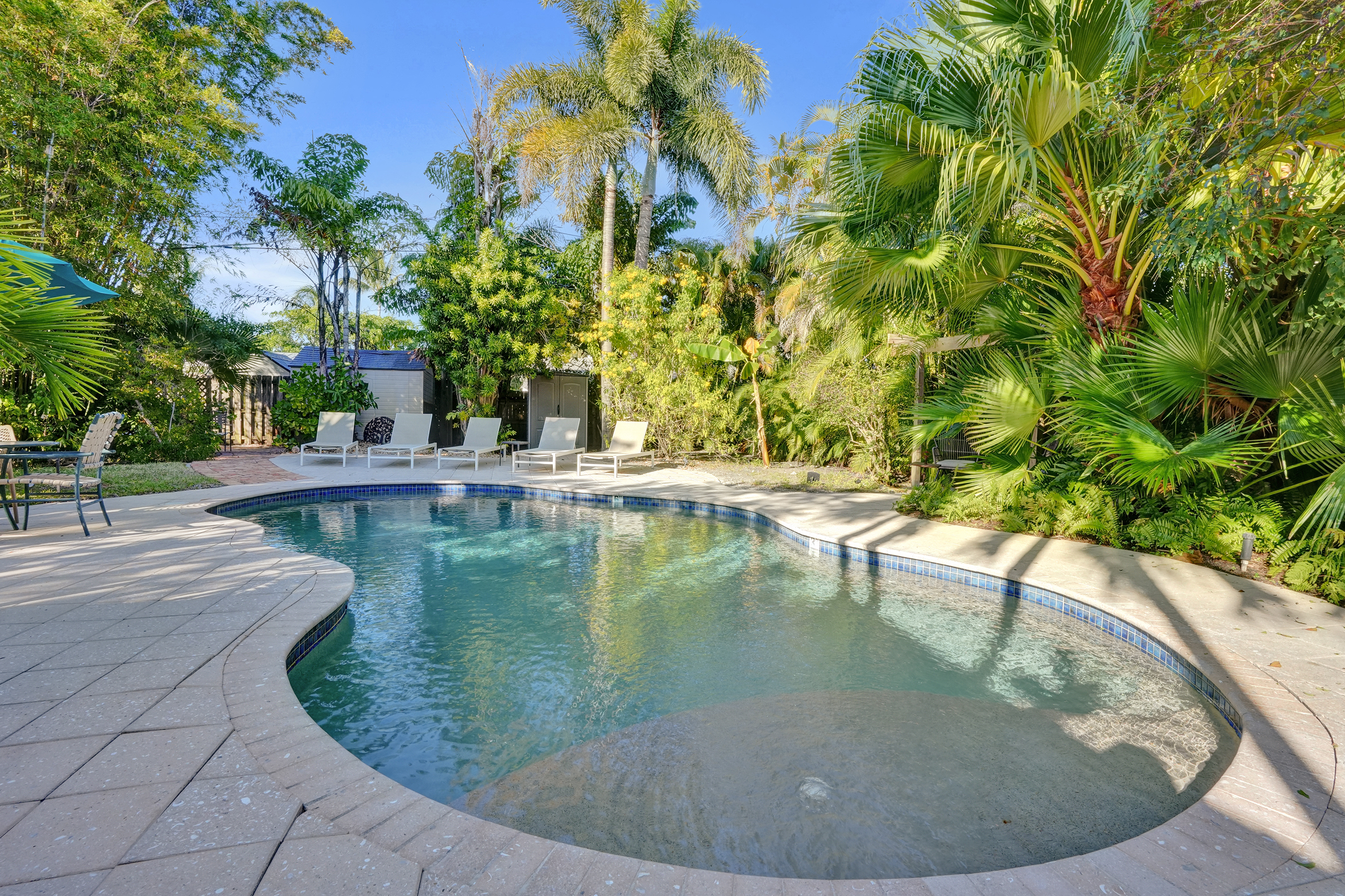 Saltwater and Starlight