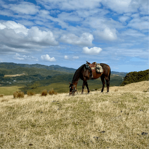 Go horse riding through the Alentejo countryside