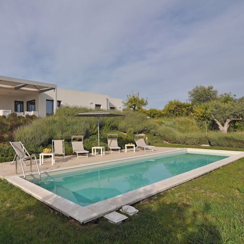Relax by the pool, overlooking fruit trees and the hills beyond
